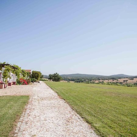 Stunning Mansion In Sao Cristovao Villa Montemor-o-Novo Kültér fotó